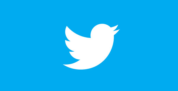 Social Media Marketing Twitter Logo
